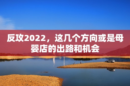 反攻2022，这几个方向或是母婴店的出路和机会
