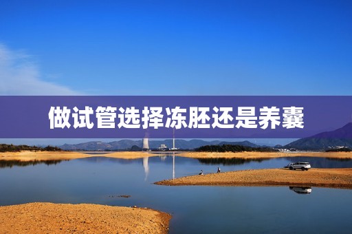 做试管选择冻胚还是养囊