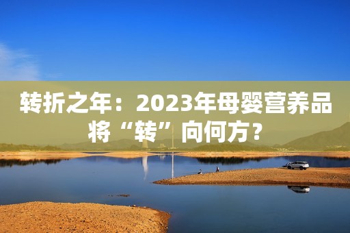 转折之年：2023年母婴营养品将“转”向何方？