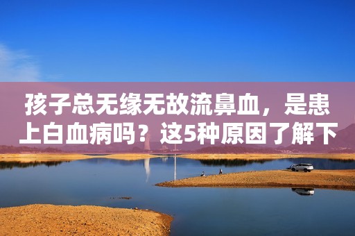 详细阅读:孩子总无缘无故流鼻血,是患上白血病吗?这5种原因了解下! 孩子总无缘无故流鼻血,是患上白血病吗?这5种原因了解下!
