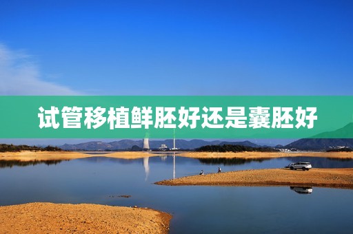 试管移植鲜胚好还是囊胚好