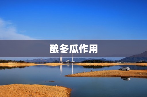 酿冬瓜作用