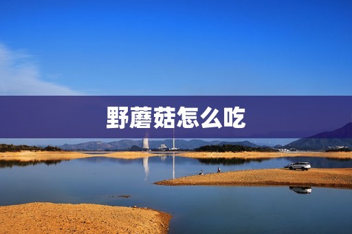 野蘑菇怎么吃