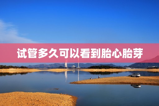 试管多久可以看到胎心胎芽