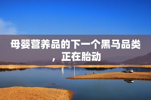 母婴营养品的下一个黑马品类，正在胎动