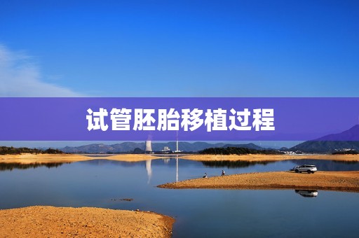 试管胚胎移植过程