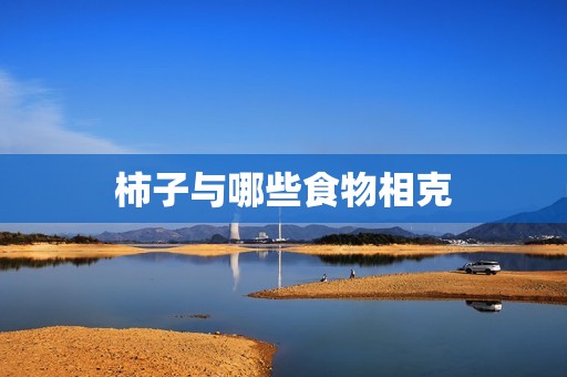 柿子与哪些食物相克