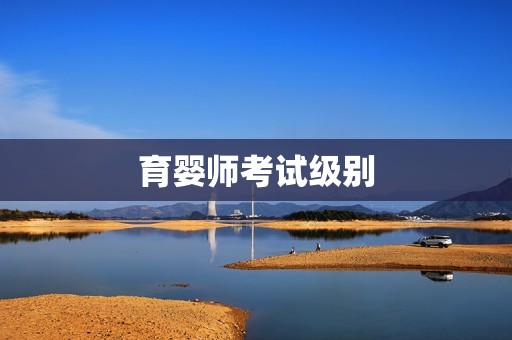 育婴师考试级别