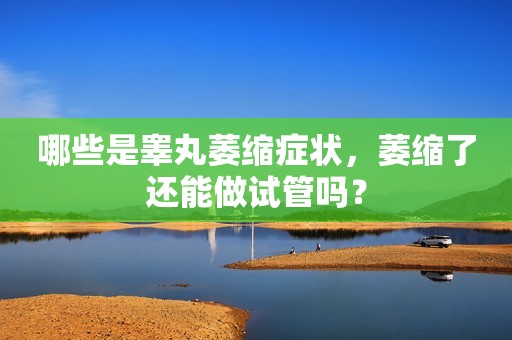 哪些是睾丸萎缩症状，萎缩了还能做试管吗？