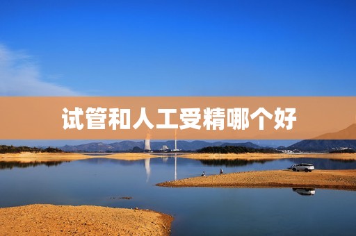 试管和人工受精哪个好
