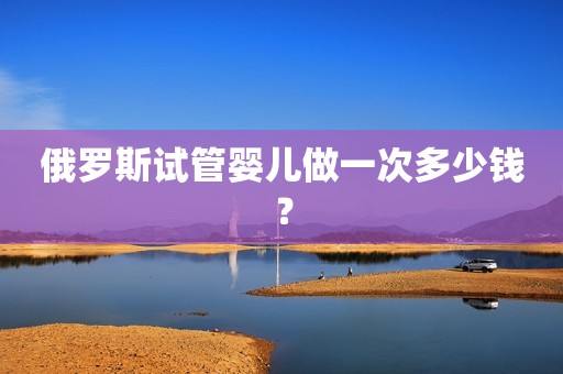 俄罗斯试管婴儿做一次多少钱？