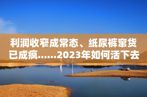 利润收窄成常态、纸尿裤窜货已成疯......2023年如何活下去？