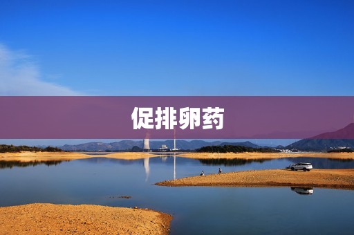促排卵药