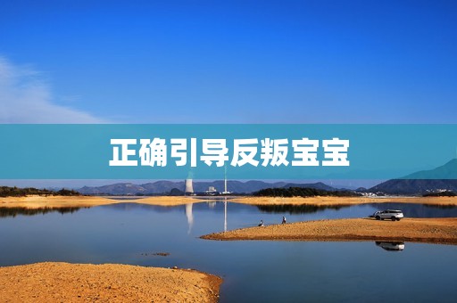 正确引导反叛宝宝