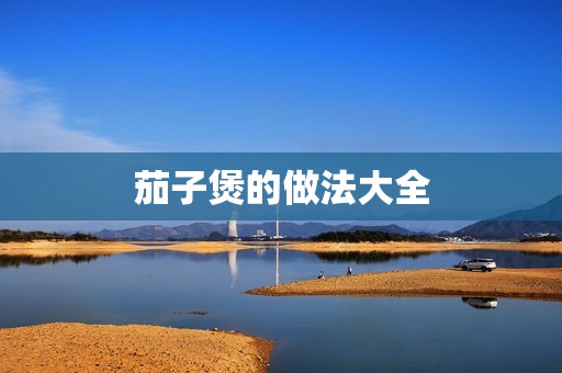 茄子煲的做法大全