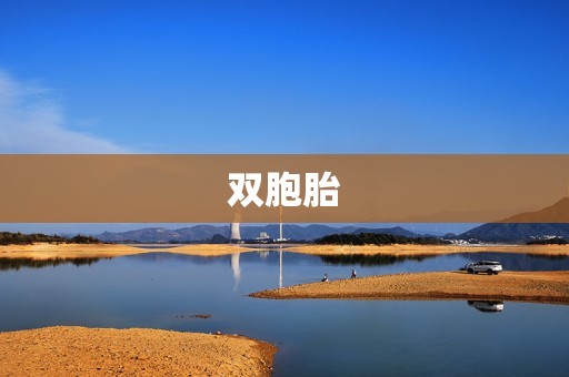 双胞胎