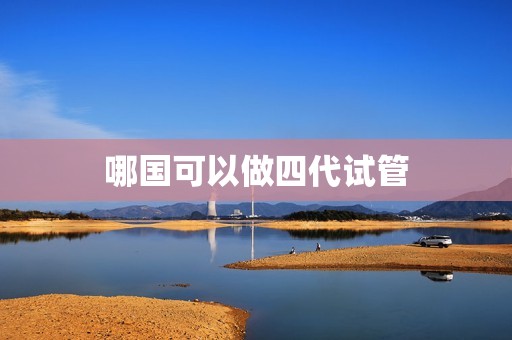 哪国可以做四代试管