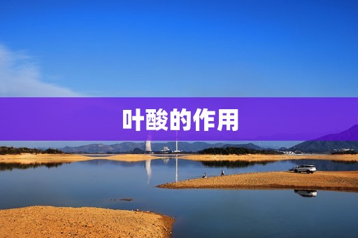 叶酸的作用