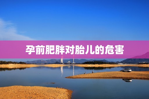 孕前肥胖对胎儿的危害