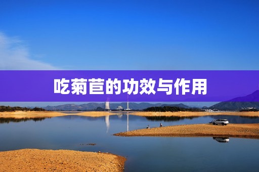 吃菊苣的功效与作用