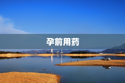 孕前用药