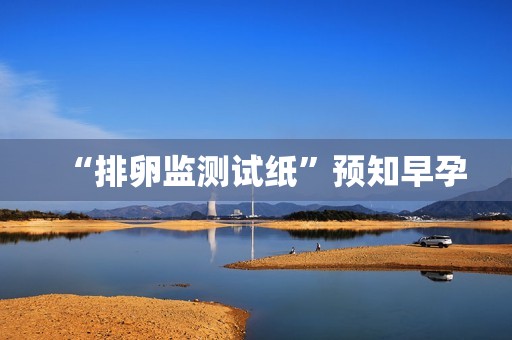 “排卵监测试纸”预知早孕