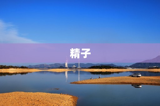 精子