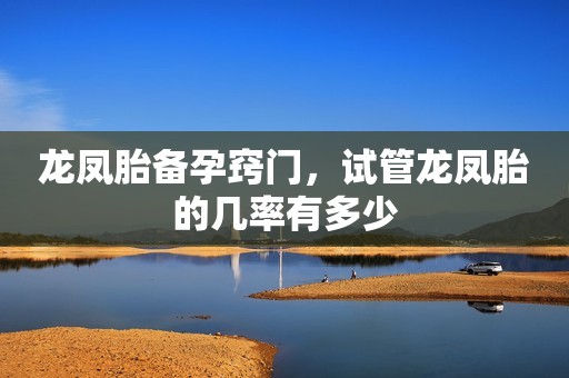 龙凤胎备孕窍门，试管龙凤胎的几率有多少