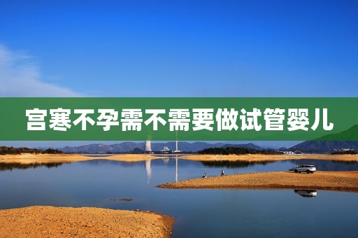 宫寒不孕需不需要做试管婴儿