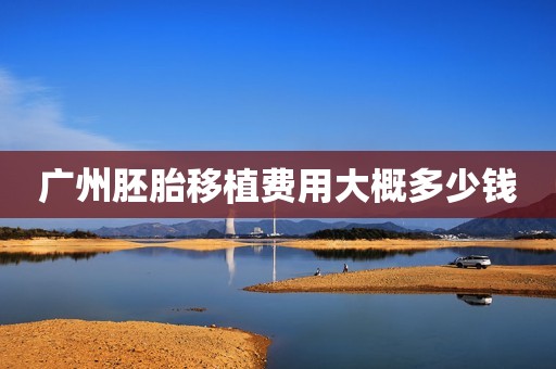 广州胚胎移植费用大概多少钱