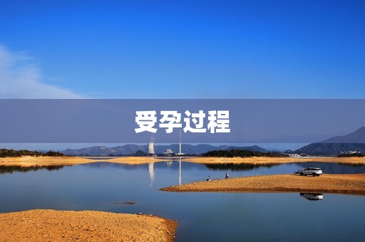 受孕过程