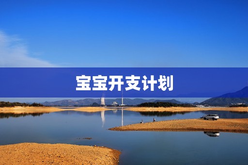 宝宝开支计划