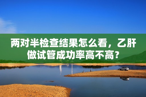 两对半检查结果怎么看，乙肝做试管成功率高不高？