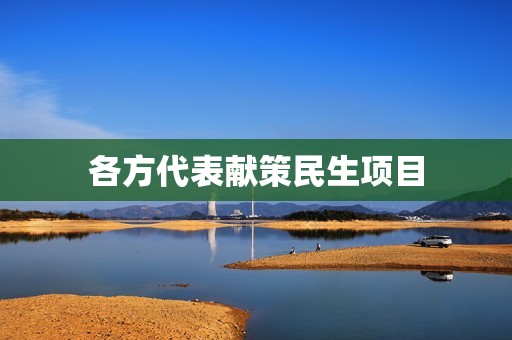 各方代表献策民生项目