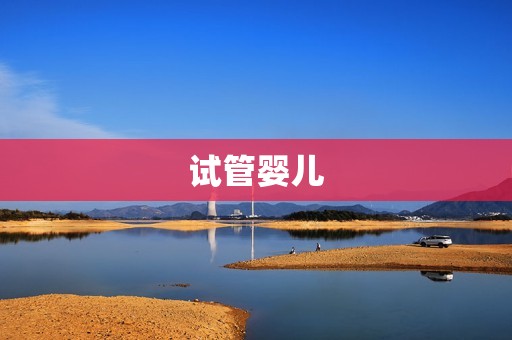 试管婴儿