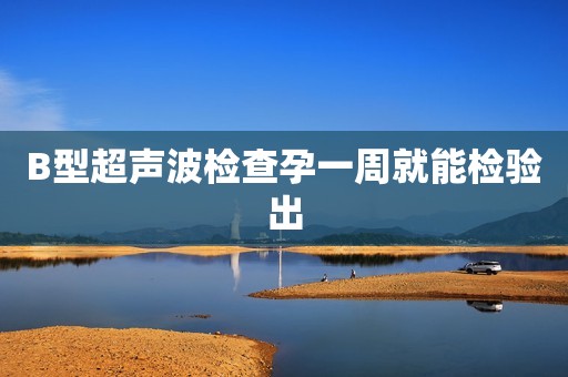 B型超声波检查孕一周就能检验出