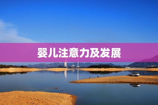 婴儿注意力及发展