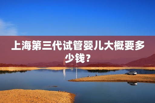 上海第三代试管婴儿大概要多少钱？