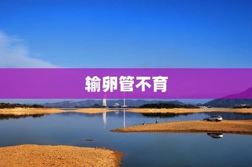 输卵管不育