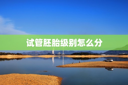 试管胚胎级别怎么分