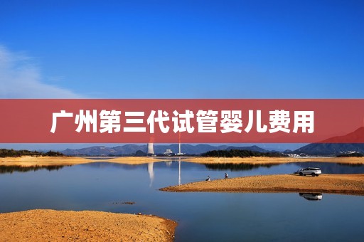 广州第三代试管婴儿费用