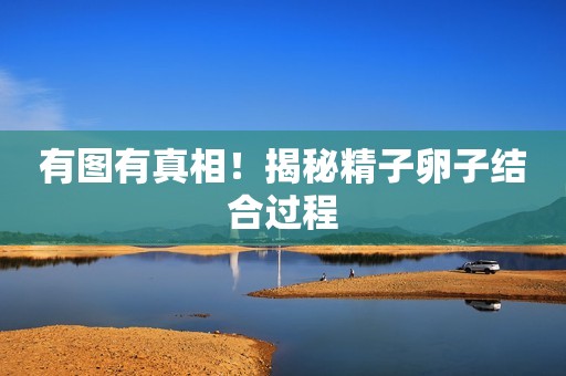 有图有真相！揭秘精子卵子结合过程