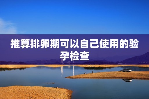 推算排卵期可以自己使用的验孕检查