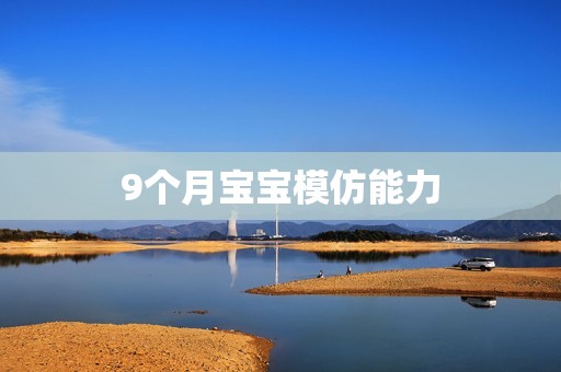 9个月宝宝模仿能力