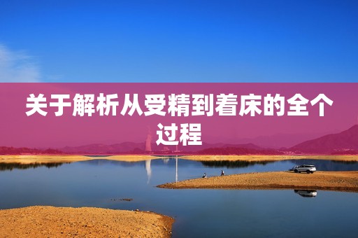 关于解析从受精到着床的全个过程
