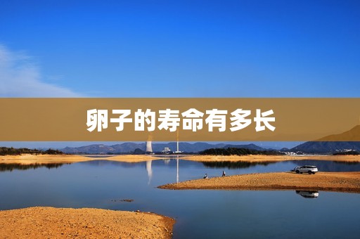 卵子的寿命有多长