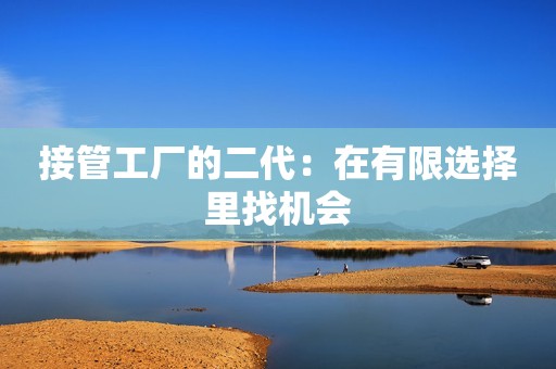 接管工厂的二代：在有限选择里找机会