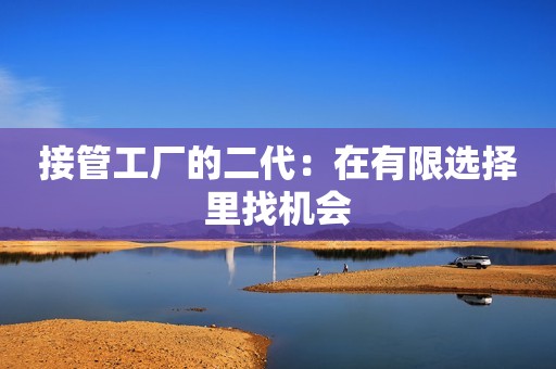 接管工厂的二代：在有限选择里找机会