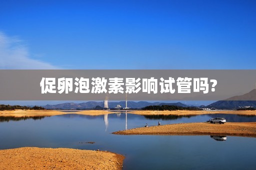 促卵泡激素影响试管吗?