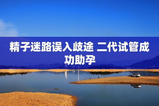 精子迷路误入歧途 二代试管成功助孕